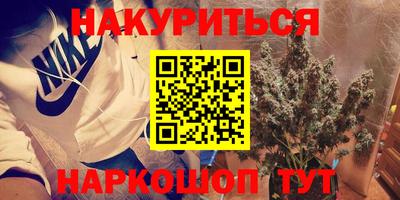 индика Можайск