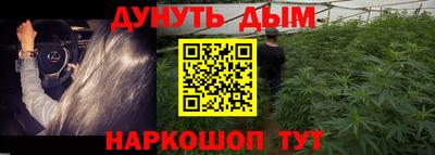 дживик Моздок