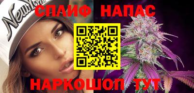 индика Можайск