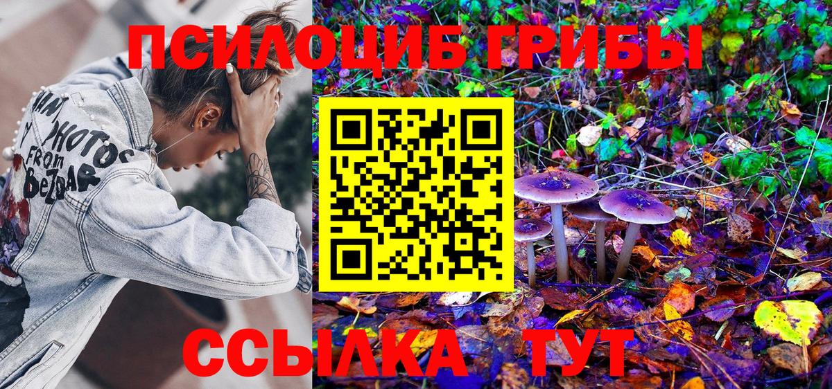 Псилоцибиновые грибы Psilocybine cubensis  Вход с VPN  Свободный  Псилоцибиновые грибы ЛСД 